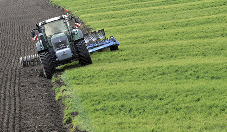 Opfermesser im Havelland: Traktor zieht Pflug