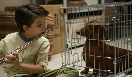 Nicht nur der Hund, auch der Film ist in der Klemme – durch bitt...