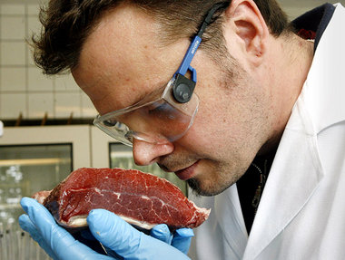21 Prozent der untersuchten Fleischwaren wurden im Jahr 2006 bea...