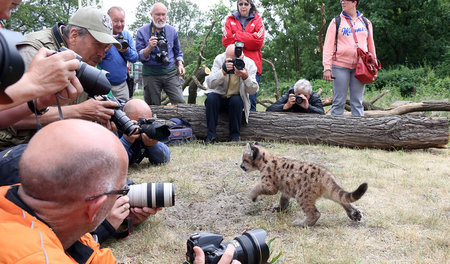 Ganz schön viel los hier! Auch im Tierpark Friedrichsfelde wird ...