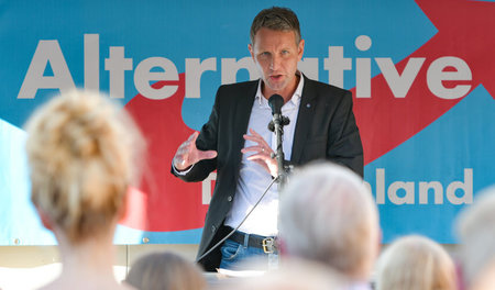 »Die AfD in Mecklenburg-Vorpommern ist im Vergleich zur Bundespa...