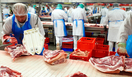 Mitarbeiter in der Fleischproduktion im Tönnies-Werk Rheda-Wiede...