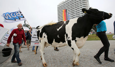Protestaktion von Milchbauern am Freitag am Tagungsort der Agrar...