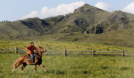 Die Zähmung des Pferdes war eine langwierige Angelegenheit: Chak...