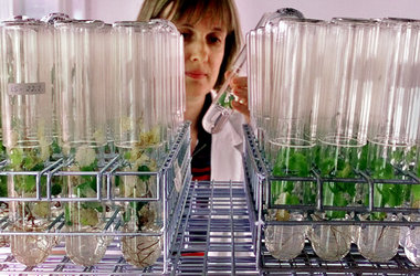 DNA-Strukturen sollen Gewinne sichern und den Unternehmenswert s...