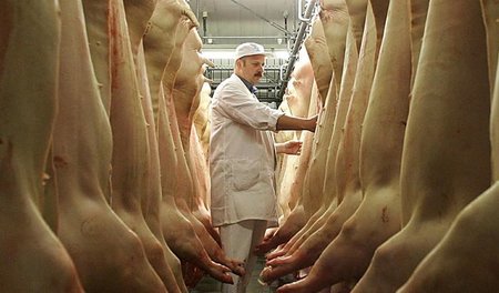 Der Vorstandsvorsitzende der Schweineschlachtung München GmbH Ma... Der Vorstandsvorsitzende der Schweineschlachtung München GmbH Ma...