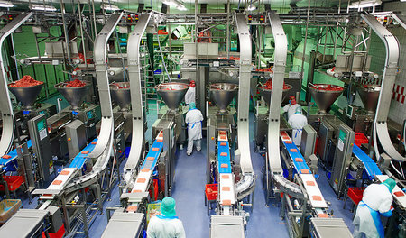 Im Tönnies-Werk in Rheda-Wiedenbrück wird Mett am Band produzier... Im Tönnies-Werk in Rheda-Wiedenbrück wird Mett am Band produzier...
