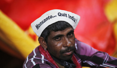 »Monsanto raus aus Indien!« Protest in Neu-Delhi am 8. August 20...