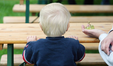 Armes Kind am leeren Tisch? Sozialverbände und Gewerkschaften wo...