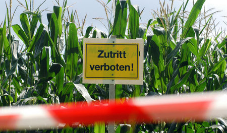 Durch die Fusion mit Monsanto steigt Bayer zum größten Produzent...