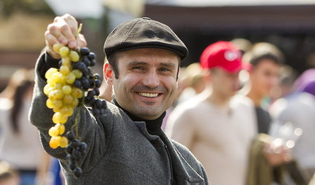 Die Republik Moldau ist zwar der zehntgrößte Weinproduzent der W...