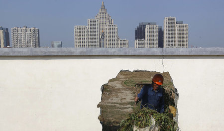 Wie das Wirtschaftswachstum steuern? Ein Bauer in Tongxiang, Chi... Wie das Wirtschaftswachstum steuern? Ein Bauer in Tongxiang, Chi...