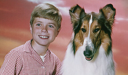 Medienarbeitstier Lassie mit Freund Timmy, gespielt von Jon Prov...