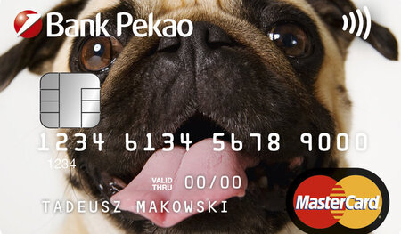 Der Mops der Pekao SA soll zurück nach Polen. Das lässt sich der...