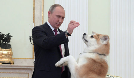Sanfte Annäherung: Zu seinem Besuch hat Wladimir Putin seinen Ak...