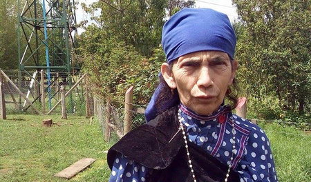 Die Machi Francisca Linconao in ihrem Heimatort im Süden Chiles Die Machi Francisca Linconao in ihrem Heimatort im Süden Chiles