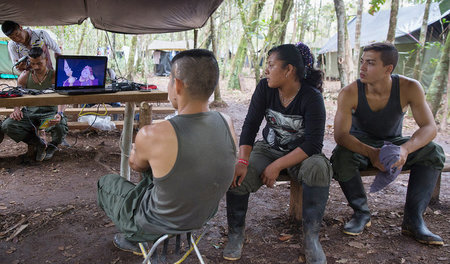 Zeichentrick statt Dschungelkrieg: Mitglieder der FARC während i...