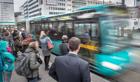 Nächste Woche bleiben die Busse in Frankfurt stehen