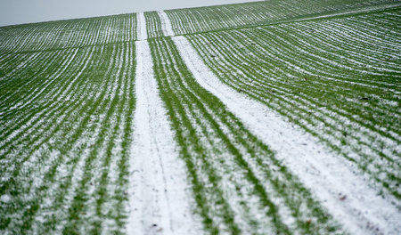Längst haben Landwirte nicht mehr nur mit den Jahreszeiten zu kä... Längst haben Landwirte nicht mehr nur mit den Jahreszeiten zu kä...