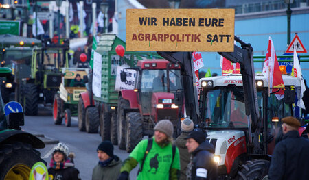 In den vergangenen sechs Jahren kamen jeweils mehr als 20.000 Me... In den vergangenen sechs Jahren kamen jeweils mehr als 20.000 Me...