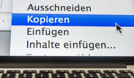 Verfolgte Unschuld oder ernsthaft geschädigt? Springers Bild weh...