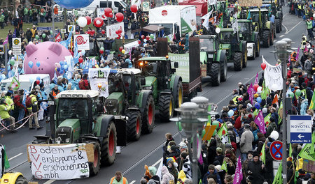 Etliche Traktoren begleiteten den Demonstrationszug am Samstag i...
