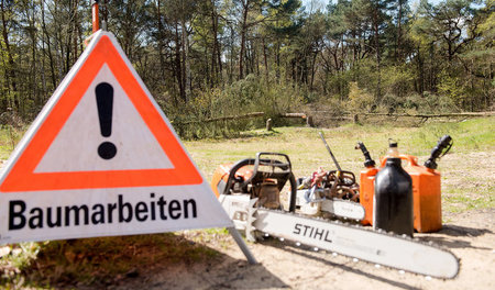 Baumfällarbeiten wurden bereits im April 2016 von einigen Anwohn...