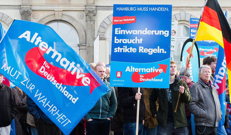 Anhänger der Alternative für Deutschland (AfD) am 31.10.2015 in ...