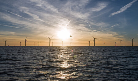 Offshore-Windpark vor Dorum in Niedersachsen