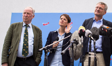 Konnten schon zu Aufstiegszeiten seekrank aussehen: die AfD-Poli...