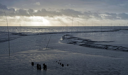 Damit die Nordsee – hier das Wattenmeer bei Wremen (Niedersachse...
