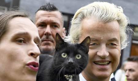 Auch Katzen? Geert Wilders beim Wahlkampf am 11. März in Heerlan Auch Katzen? Geert Wilders beim Wahlkampf am 11. März in Heerlan