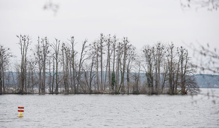 Die Insel »Kleiner Werl« im Scharmützelsee (23. März)