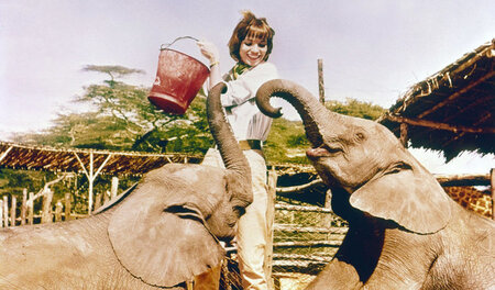 »Dallas« (Elsa Martinelli) bei der Arbeit auf der Ranch: Schon b...
