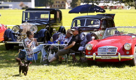 Zum Picknick in den Park: Wer Geld hat, ist gern gesehen (Zürich...