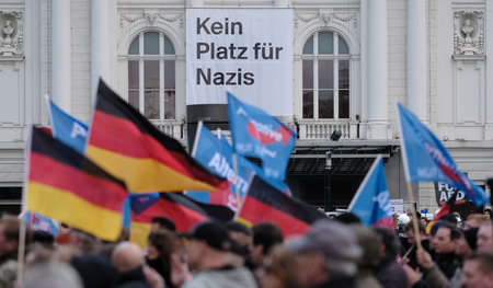 Teilnehmer einer AfD-Demonstrion demonstrieren vor dem Deutschen...