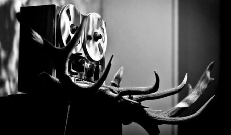 Der Ernst des Lebens, in Dresden updated von Machine de Beauvoir