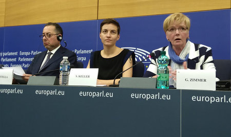 Für die Durchsetzung von Konzerninteressen: Gianni Pittella, Ska...