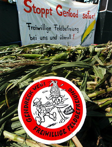 »Feldbefreiung« in Brandenburg – Widerstand gegen die Risikotech...