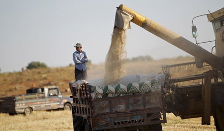 Die Landwirtschaft ist der bedeutendste Wirtschaftssektor im kur...