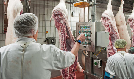 In der Fleischindustrie herrschen prekäre Arbeitsbedingungen