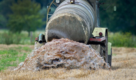 Ein Bauer entlädt Gülle auf einem Feld im Oderbruch