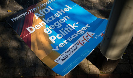 AfD-Wahlplakat zu den Kommunalwahlen in Niedersachsen (7. Septem...