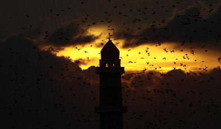Islamismus als »Spaß«: Moschee in Algier Islamismus als »Spaß«: Moschee in Algier
