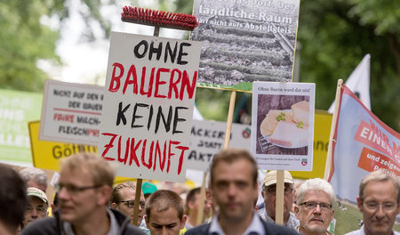 Bauerntag in Hannover vor einem Jahr: damals war die Lage der La...