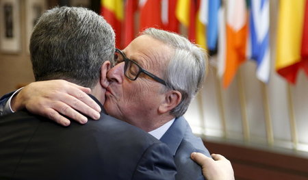 Die Ukraine will ihre Wälder nicht abholzen lassen? Dafür hat ma...