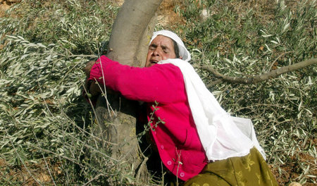 Besatzung und Vertreibung in der Westbank. Eine Palästinenserin ...