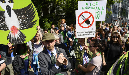 Protest gegen die Zerstörung des Nationalparks Bialowieza am 4. ...