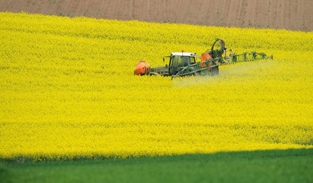 Glyphosathaltige Herbizide halten das Unkraut in Schach. In der ... Glyphosathaltige Herbizide halten das Unkraut in Schach. In der ...
