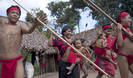 Wieso so friedlich? Yanomami haben im Westen einen Ruf als »gewa...
